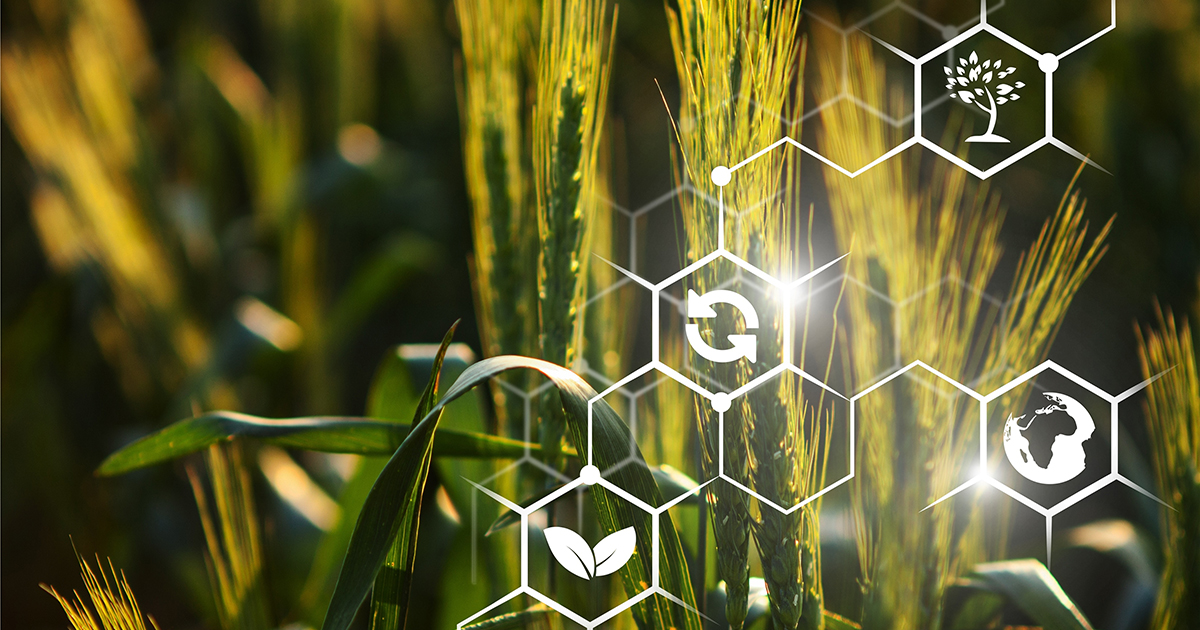 ОТП БАНК підтримає щорічну премію «Агроном року», де відзначать найкращих фахівців галузі