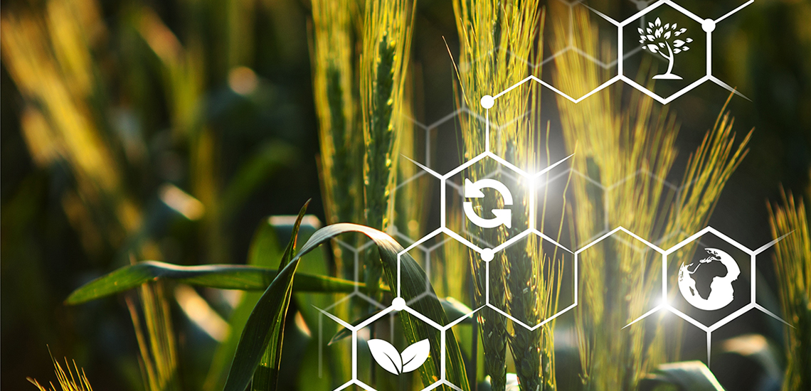 ОТП БАНК підтримає щорічну премію «Агроном року», де відзначать найкращих фахівців галузі