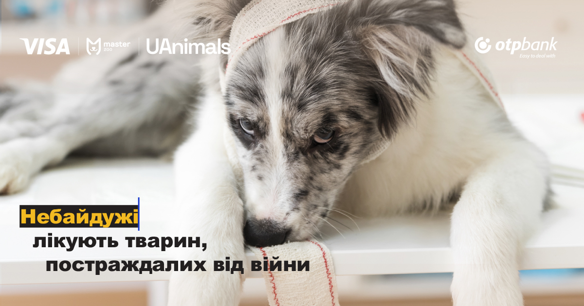 Рятуємо життя тварин разом!