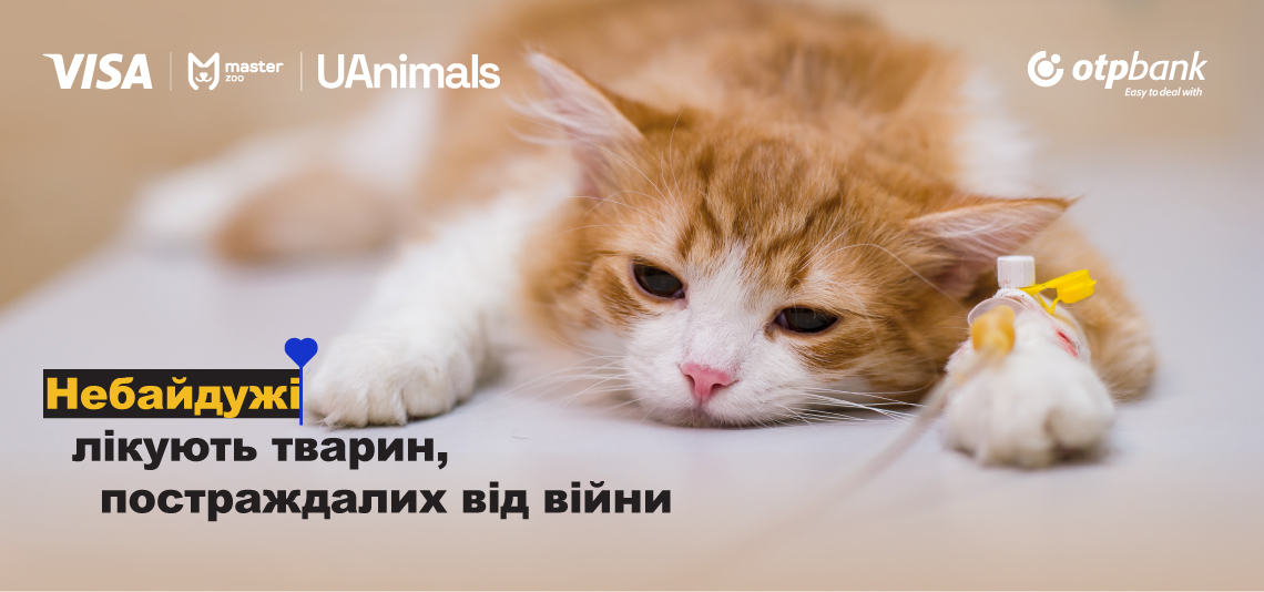 Рятуємо життя тварин разом!