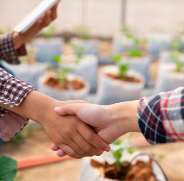 ОТП БАНК стане партнером конференції «Рослинництво 2026» у межах Grain Storage Forum 
