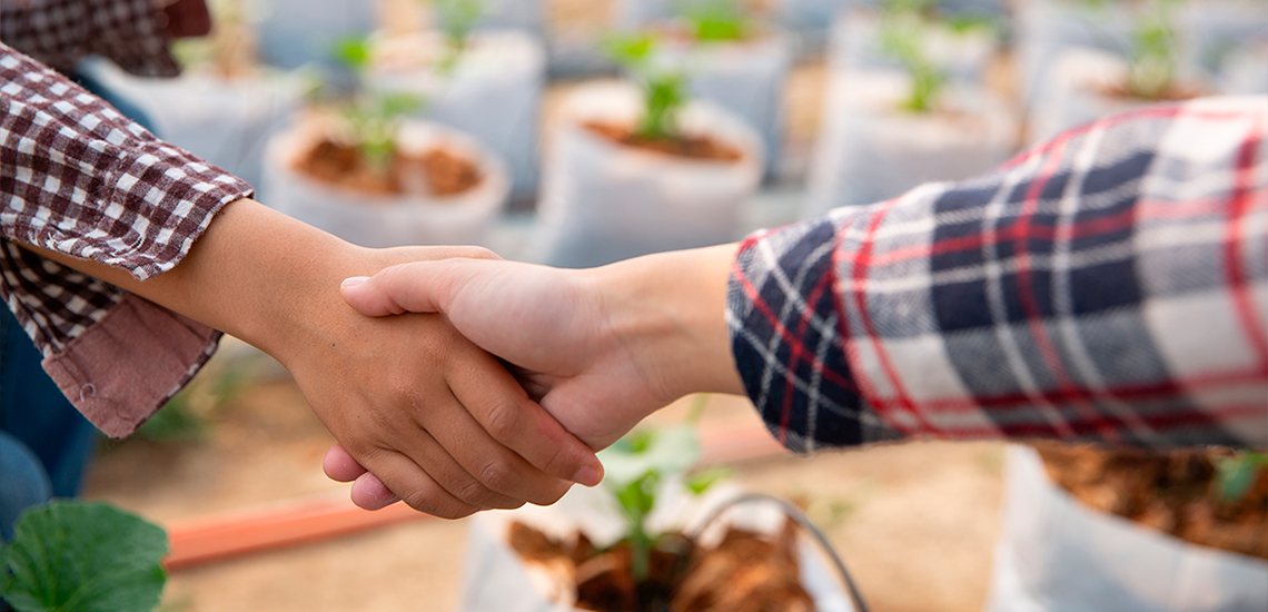 ОТП БАНК стане партнером конференції «Рослинництво 2026» у межах Grain Storage Forum 