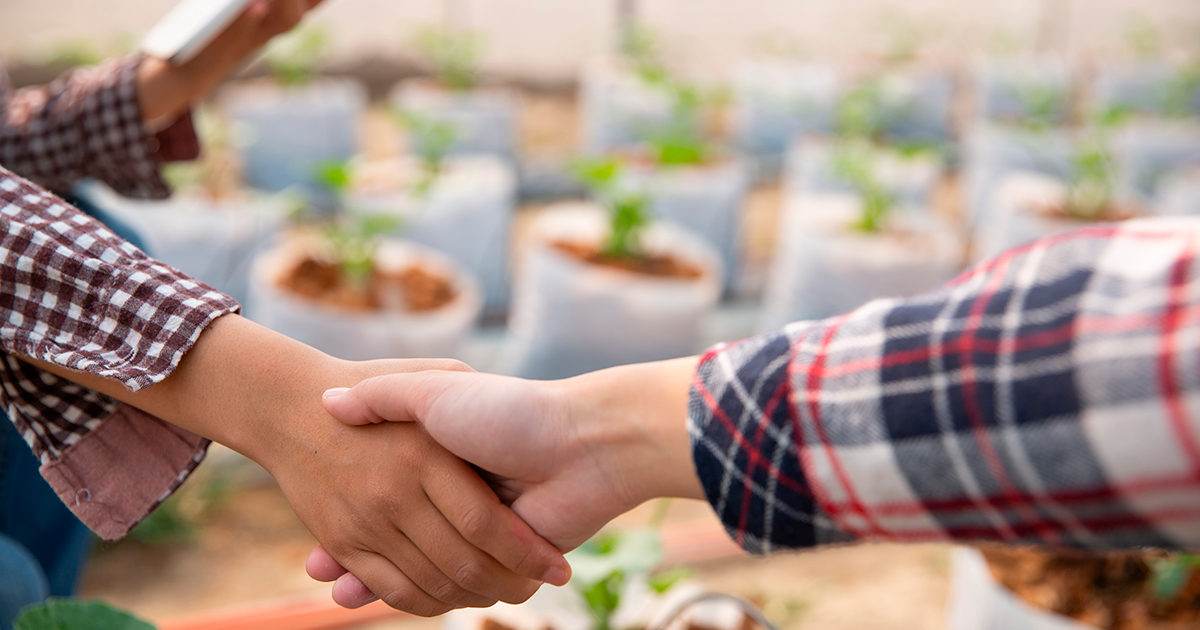 ОТП БАНК стане партнером конференції «Рослинництво 2026» у межах Grain Storage Forum 